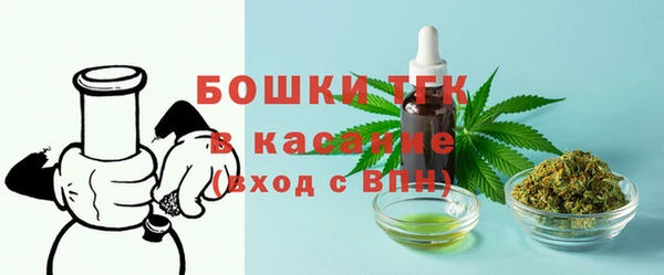 тгк Алексин