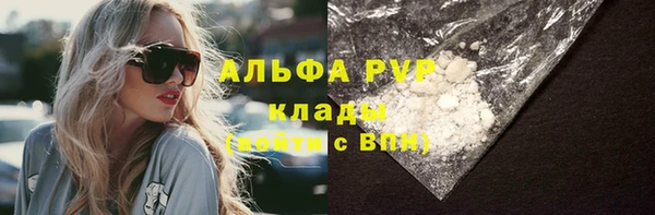 тгк Алексин